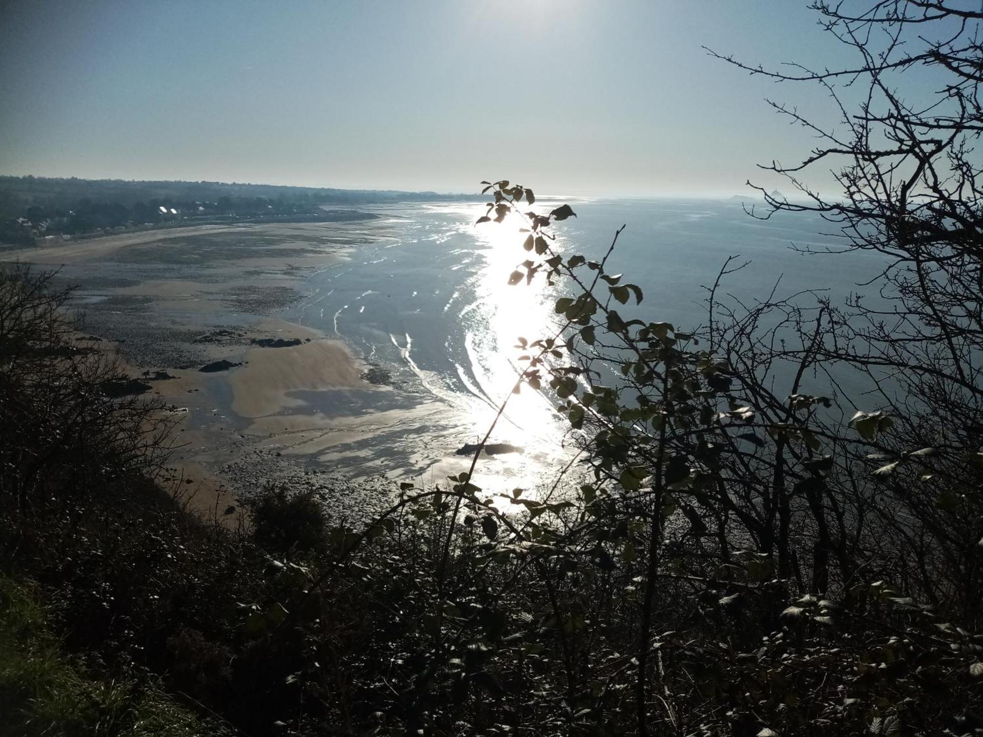 La Campagne Au Bord De La Mer, Chambre Chez L'Habitant Champeaux Buitenkant foto